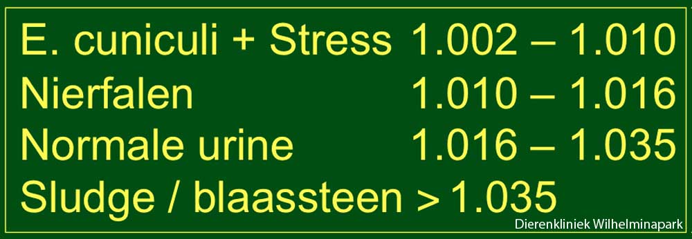 Onze indeling van het soortelijk gewicht van de urine van het konijn